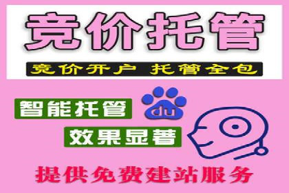 成功企业如何借助百度推广代运营公司实现逆袭